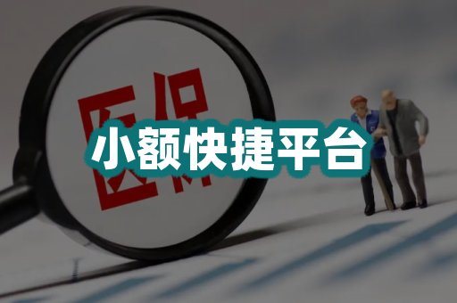 小额快捷平台