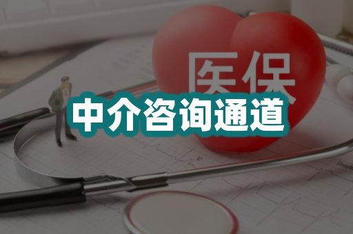 中介咨询通道